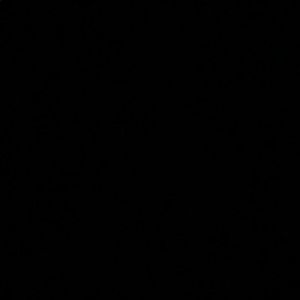 Meet your Posher, Rene